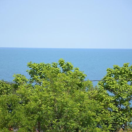 Razvan Holiday كوستِنيست المظهر الخارجي الصورة