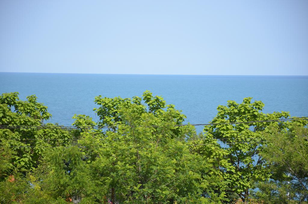 Razvan Holiday كوستِنيست المظهر الخارجي الصورة